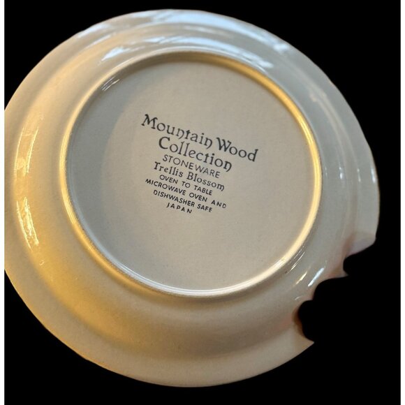 Mountain Wood Collection Stoneware Trellis Blossom 10.5" Dinner Plates 5 - Picture 8 of 11